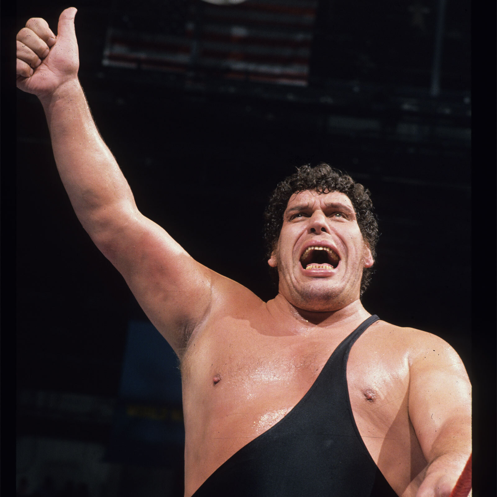 IANdrew Dice Clay on Twitter "RedlingMUFC85 Andre amazingly still wrestled around the time of