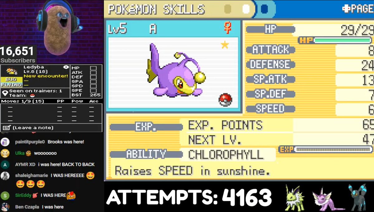 iChillnPlay's tweet photo. ANOTHER DAY ANOTHER SHINY!!! Got a starter shiny in kaizo for the first time today!!!! https://t.co/IwMwsIx7Qa