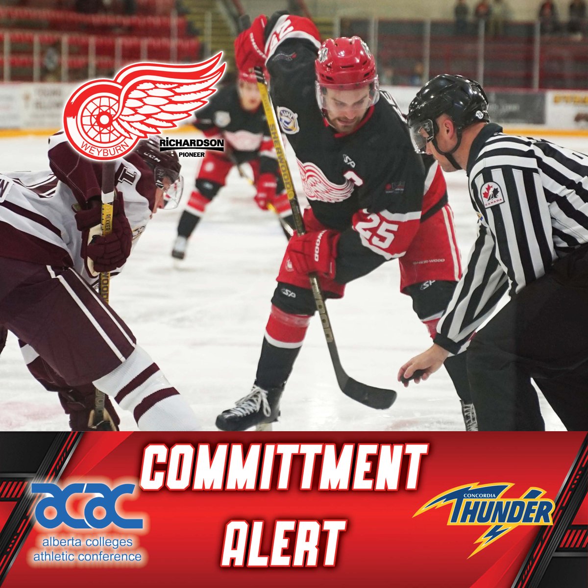 weyburnredwings's tweet photo. COMMITMENT ANNOUNCEMENT:

@matthewreidy3 has committed to the @CUE_Athletics Thunder in ACAC for next season! Congrats Cap'n!  

#WeyburnRedWings #SJHL #ACAC https://t.co/NSZ3PTyxzI