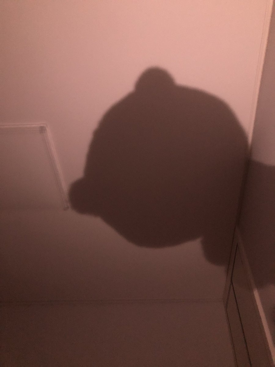 동배는 두상 미남이야!!!