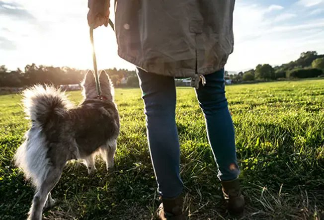 Reduce your chance of heart disease with these natural activities:
buff.ly/3LJvecQ 
#HeartDisease #HeartHealth