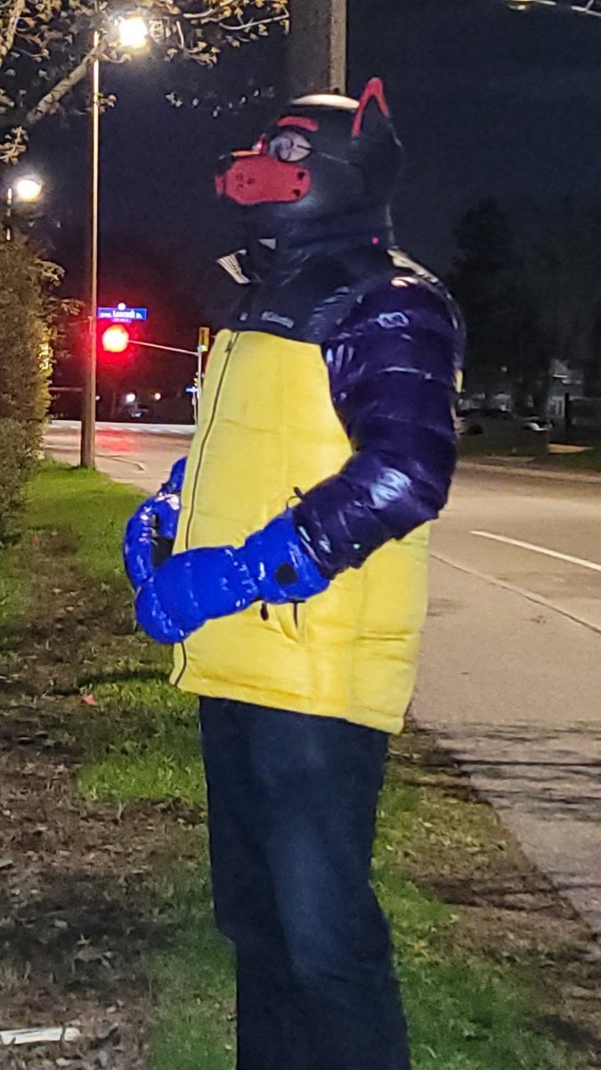 waraulion's tweet photo. It was a nice night. Pup went out in his purple DKNY jacket and Columbia vest. https://t.co/aPNyTZmI8i