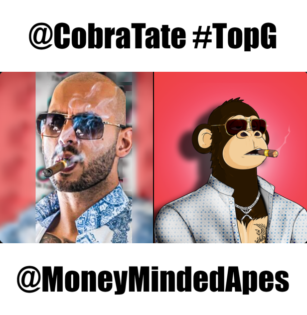 Krypto_Konnect's tweet photo. @Cobratate #Topg #topGApes @moneymindedapes https://t.co/dHjGX36vSD