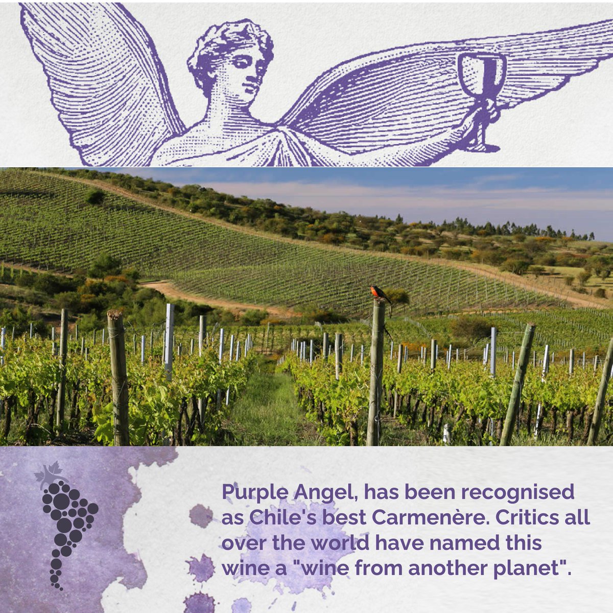 Our next stop on the journey, Chile, and our main course pairing: the incredible Purple Angel and 72 Hour Marinated Skirt Steak over Chilean Polenta

#ATouchOfGrace #WhereTheAngelsTread #trademark #trademarkyourself #winedinner #winepairing #chile   #98pointsjamessuckling #rndc