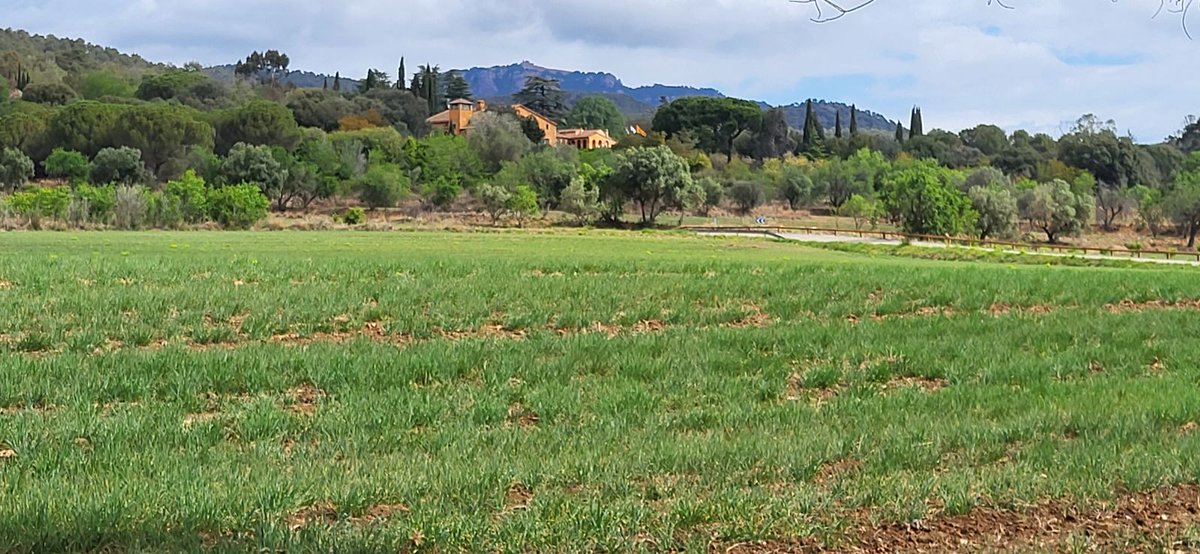 THSolidari's tweet photo. Apunta't a la BTT-Pedalada del #13THS 🚴🏻♀️!
Aquest any gaudiràs d'una ruta de 22km de nivell mig-baix💪🏼Passant per l'Obac i Les Foradades, entre d'altre zones molt variades i especials🌿✨
Descobreix tot el recorregut 👉🏼https://t.co/20hawYWlx1 https://t.co/Mk5OYdFVsD