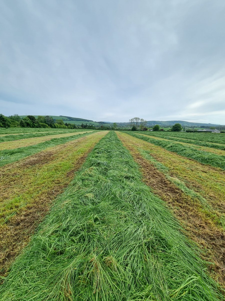 Hard to beat the power of a reseed