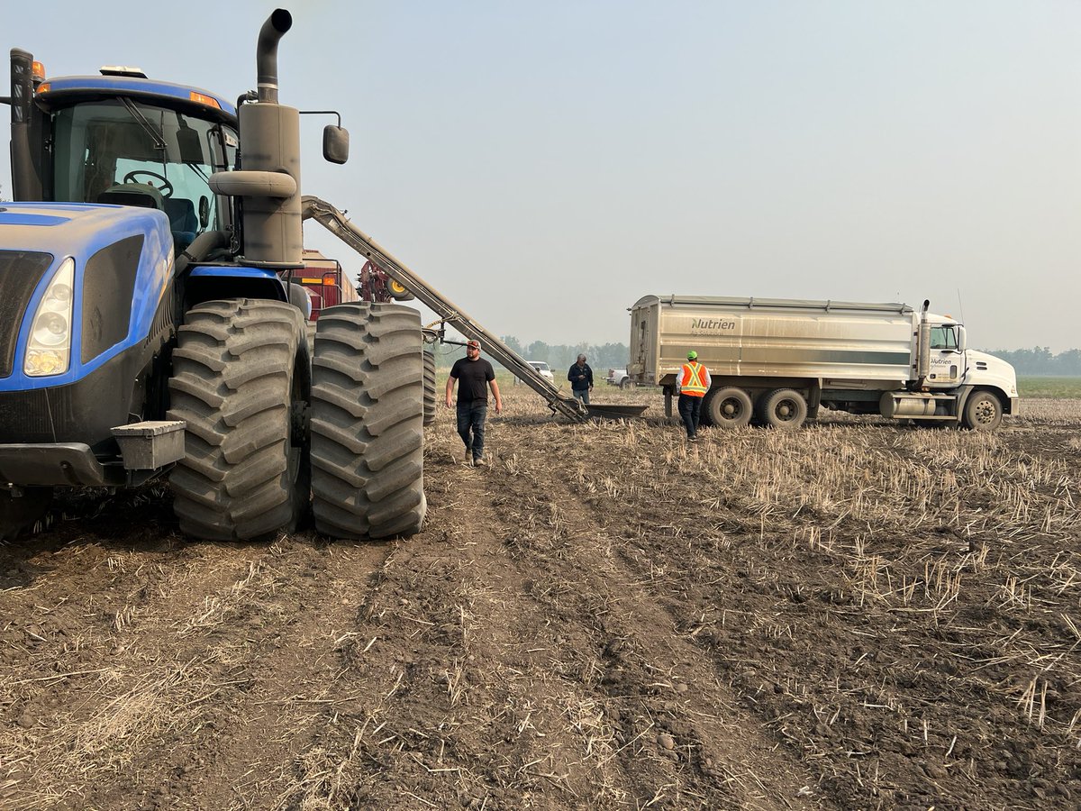 Randi Kuriga tweet media