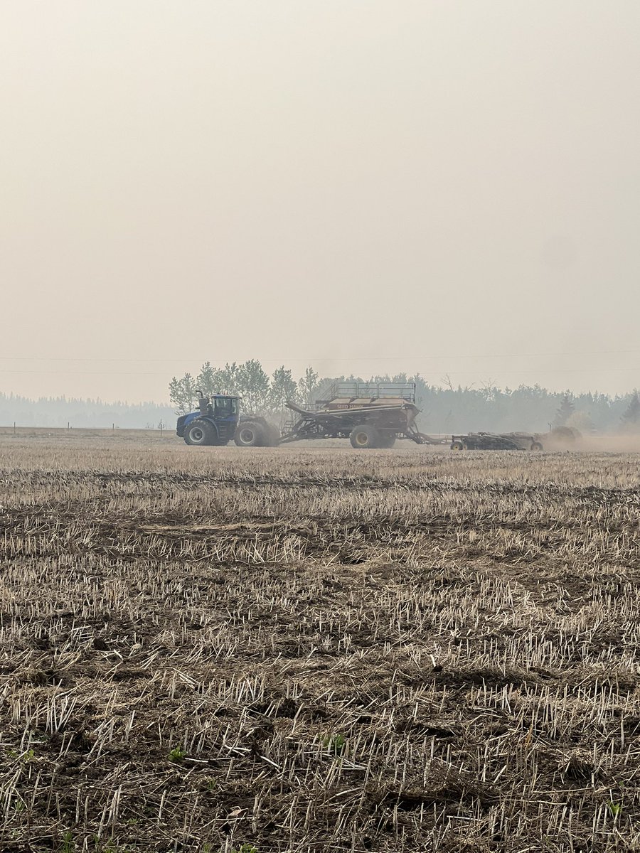 Randi Kuriga tweet media