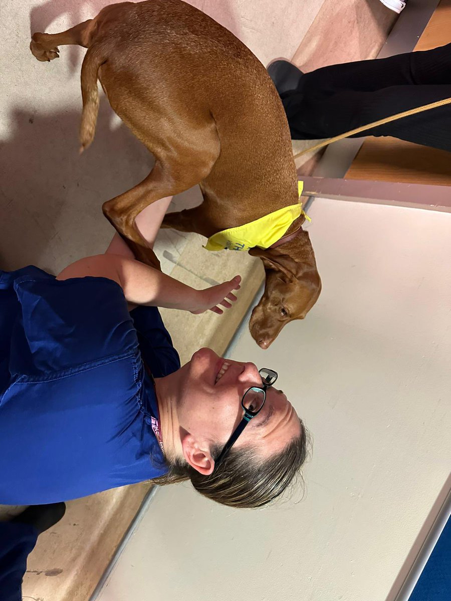 MRI_TheatreTrainingTeam (@mritheatretrai1) on Twitter photo Theatre staff were thrilled to meet Winnie & Amy today. Winnie did wonders for staff well-being and everyone who met Winnie had a huge smile on their face🐕 #patdog #volunteer #Wellbeing <a href="/Kerrie53774059/">💙 Kerrie</a> <a href="/SarahJ2403/">Sarah 💕</a> <a href="/JenBry92/">Jen</a> <a href="/RobboMarie/">Marie Robinson</a> <a href="/nurse_ant/">Dott. Aria Maderna📏</a> <a href="/MRI_TEIR/">Team TEIR</a> Theatre staff were thrilled to meet Winnie & Amy today. Winnie did wonders for staff well-being and everyone who met Winnie had a huge smile on their face🐕 #patdog #volunteer #Wellbeing <a href="/Kerrie53774059/">💙 Kerrie</a> <a href="/SarahJ2403/">Sarah 💕</a> <a href="/JenBry92/">Jen</a> <a href="/RobboMarie/">Marie Robinson</a> <a href="/nurse_ant/">Dott. Aria Maderna📏</a> <a href="/MRI_TEIR/">Team TEIR</a>