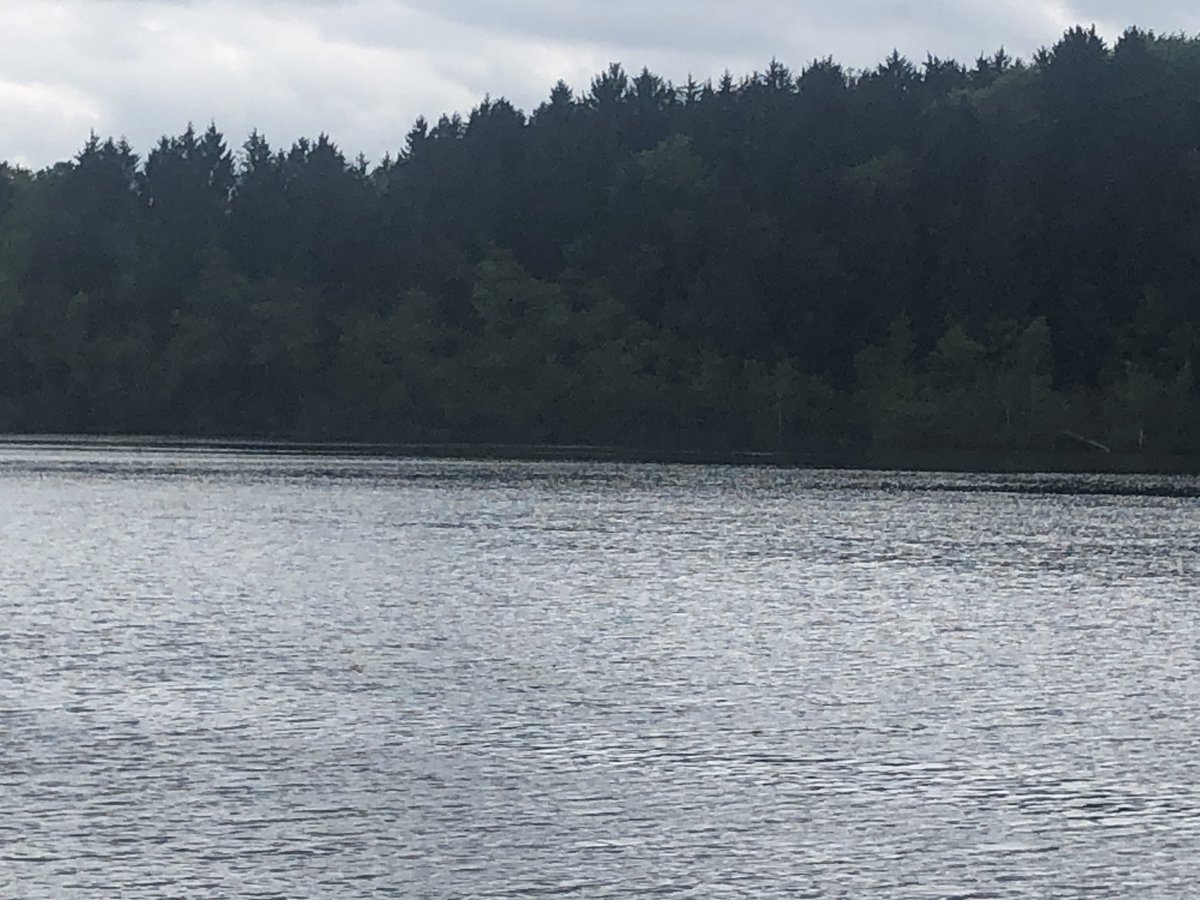 Anna_Muenchen's tweet photo. Der Steinsee östlich von München ist immer einen Besuch wert, zumal man dort gut essen kann. Sonne gab es heute leider nicht, dafür war es angenehm ruhig. #Steinsee #München #Ausflug https://t.co/EpCaROSzZd