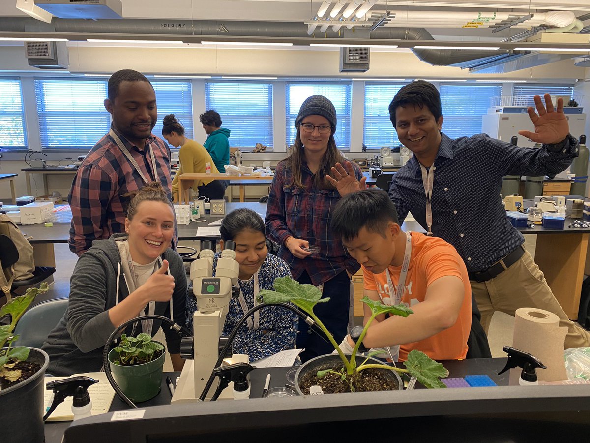 fern_way's tweet photo. kicking off the #plantweek at #MBLSYM2023! Dissecting out #Gunnera #cyanobacteria colonies for metagenomic sequencing!! @MooreFound @MBLScience @olivia_burleigh @Sarah_Frail @BhavyaaTyagi @yagovinicius https://t.co/F5ptFcwIXG