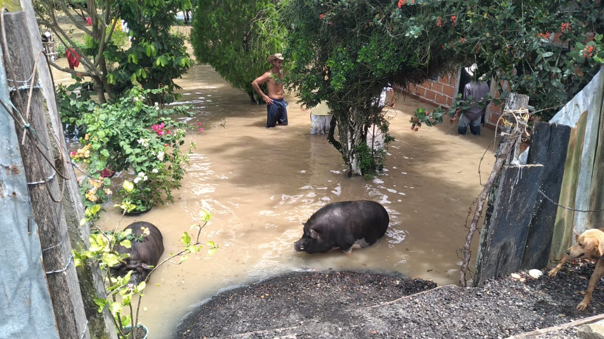 Hoy en la vereda San Juan de #Cimitarra se presentó la creciente súbita y desbordamiento del río San Juan, cerca de la carretera hacia el casco urbano del municipio, generando inundaciones en varías fincas afectando a 30 familias.