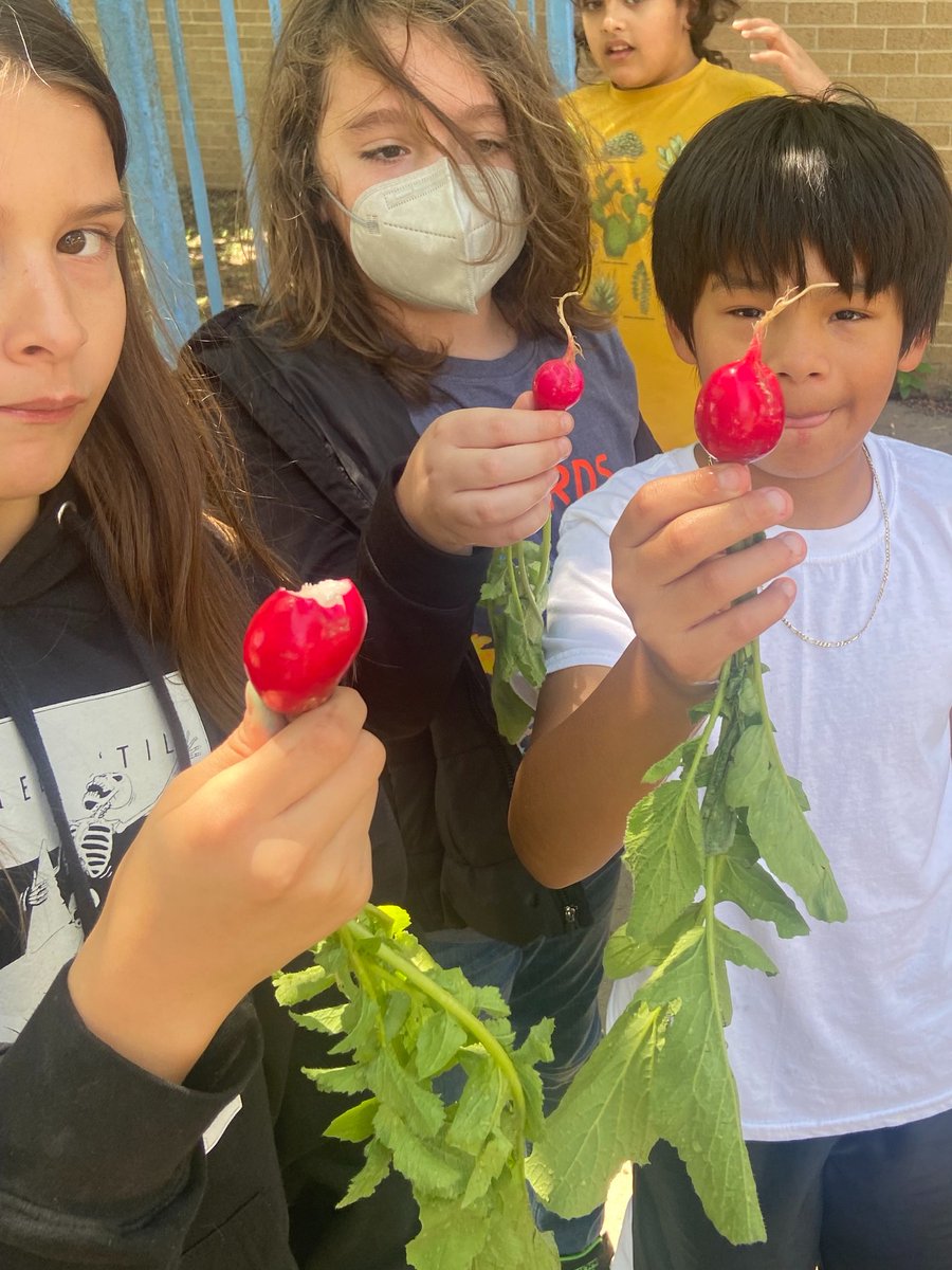 PrimeTime AISD tweet media