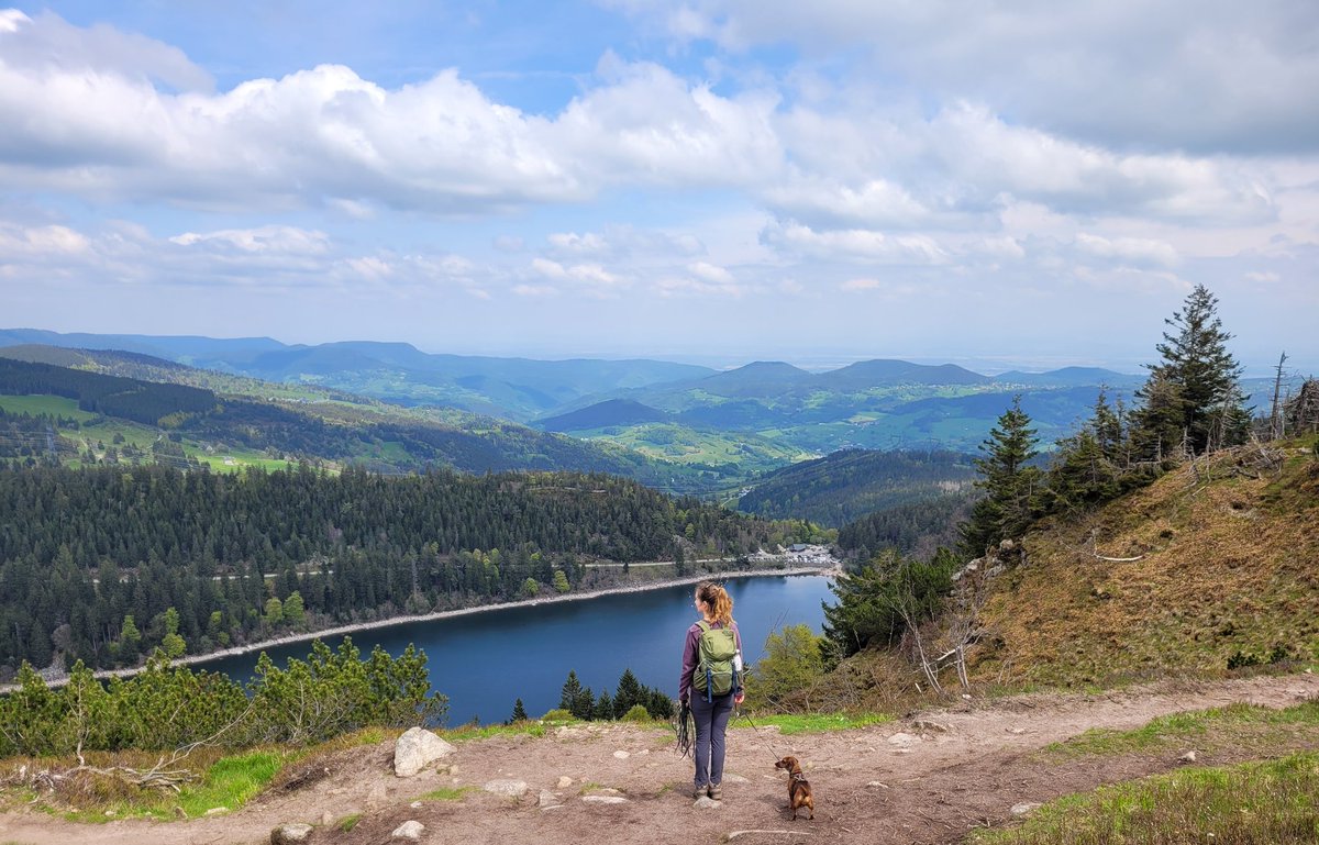 Feiertag ist Wandertag 🥾
#Dackel #Alsace #Orbey #Lac