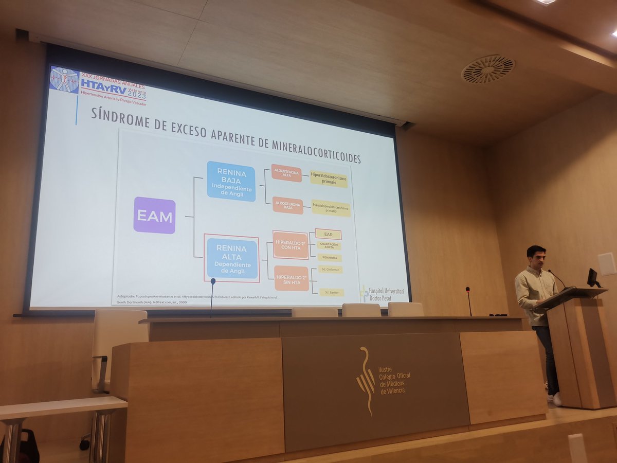 castro_med's tweet photo. Aprendiendo sobre el estudio de HTA secundaria 🕵️‍♀️, como estudiar eje renina-aldosterona por el Dr Manuel Parra @nefropeset en las Jornadas @SVHTA https://t.co/llkfAOurMy