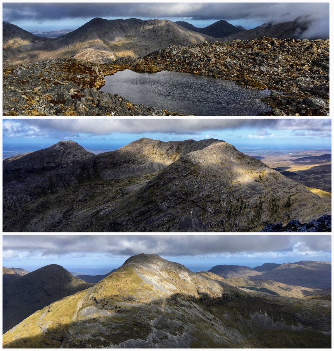 Gerard Sheehy tweet media