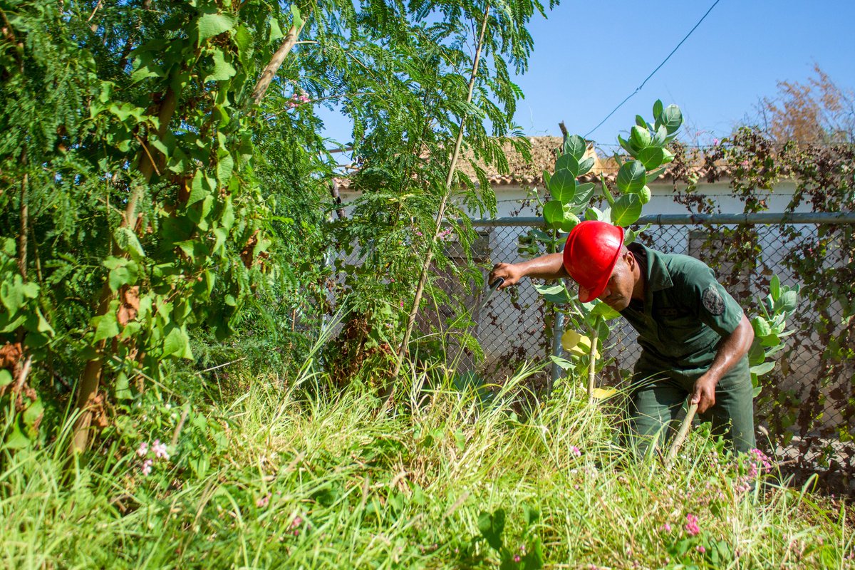 La prioridad del Sistema 1x10 del Buen Gobierno es la rehabilitación de los centros educativos.

En nombre del Pdte. <a href="/NicolasMaduro/">Nicolás Maduro</a> junto al Gob. Víctor Clark, realizamos la entrega de materiales a las Bricomiles de la emblemática E.P.B. Juan Crisóstomo Falcón en Coro.
