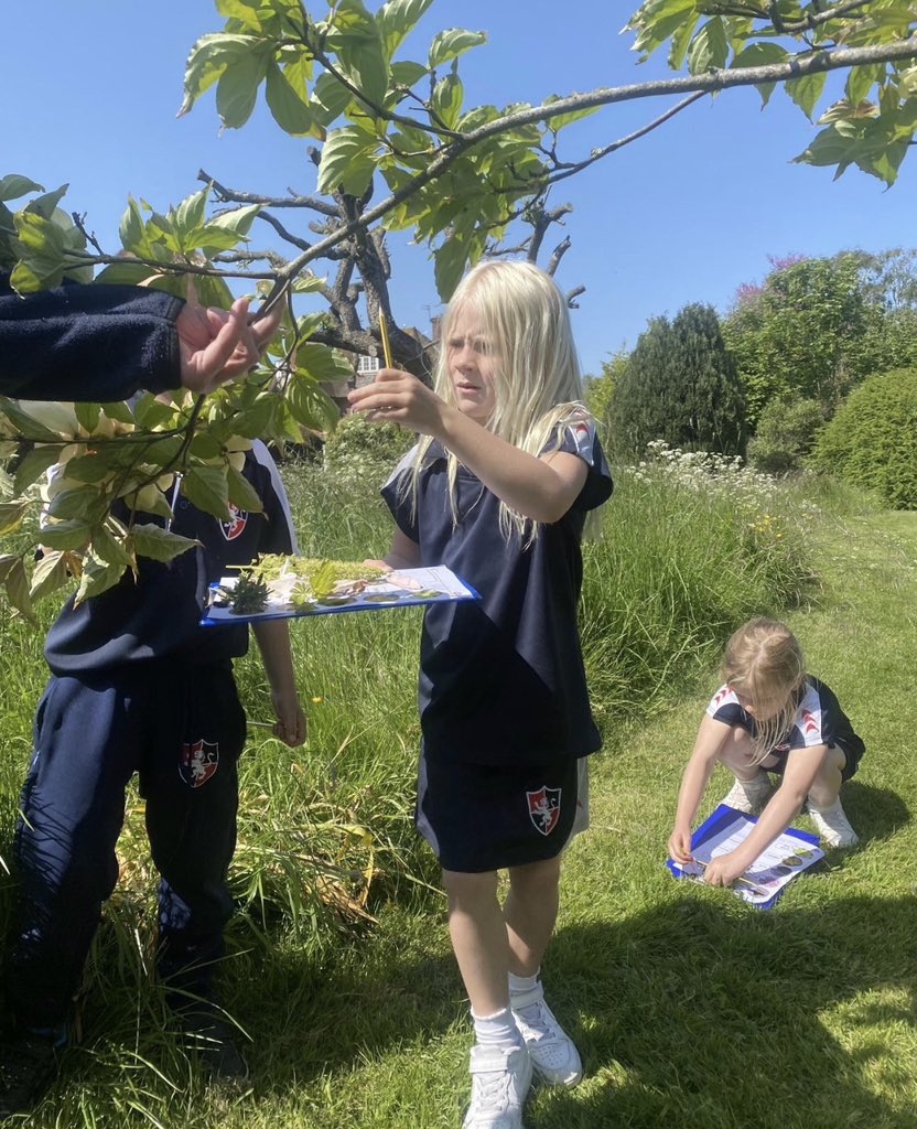 WellesleySchool's tweet photo. Lots of outdoor learning today for Year 1 in the fresh air combined with creative time in our art studio! https://t.co/uyfTXyDDfT