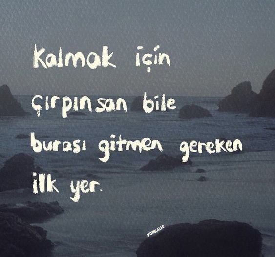 emretekk00's tweet image. 