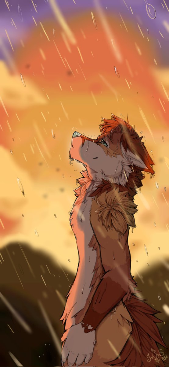 Yzaro イザロ 🍁 tweet media