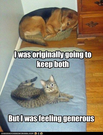 lolol_cat's tweet photo. Generosity via https://t.co/hFFtfx1Uib https://t.co/cW0OxlcQv2