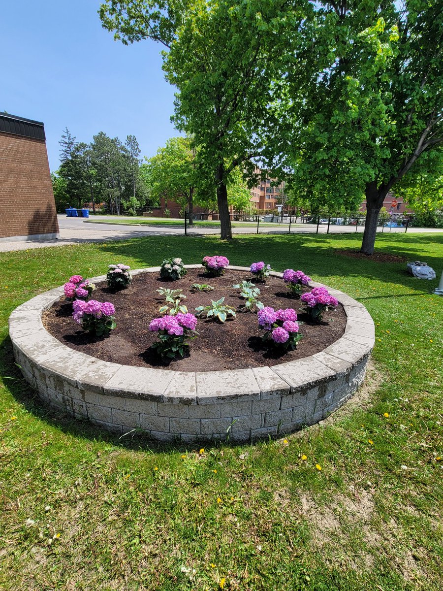 Mr. Bryce (@mrbrycee) on Twitter photo Before and After! What a lovely day to greenthumb! <a href="/PeelSchools/">Peel District School Board</a> <a href="/PDSB_eco/">Peel EcoSchools</a> <a href="/FolkstonePS/">Folkstone PS</a> <a href="/FacilitiesPDSB/">Facilities and Maintenance at PDSB</a> Before and After! What a lovely day to greenthumb! <a href="/PeelSchools/">Peel District School Board</a> <a href="/PDSB_eco/">Peel EcoSchools</a> <a href="/FolkstonePS/">Folkstone PS</a> <a href="/FacilitiesPDSB/">Facilities and Maintenance at PDSB</a>