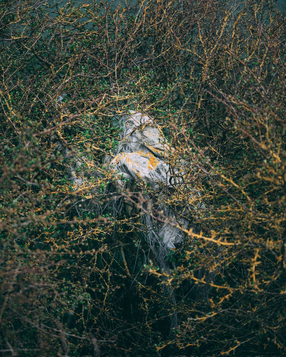 Lee Gale tweet media