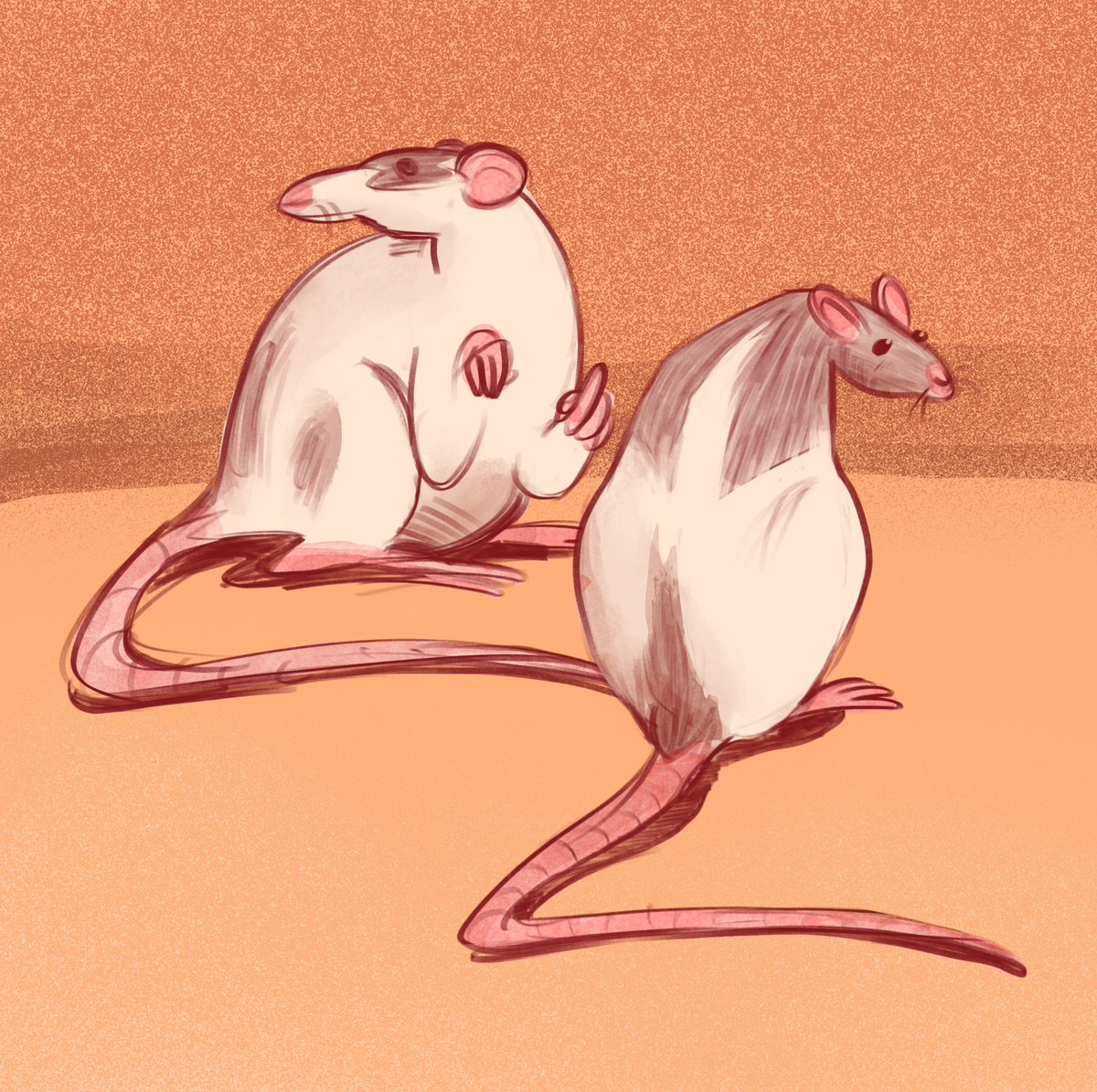 _L004P's tweet photo. I keep forgetting Twitter exists
Some rats

#illustration https://t.co/3t1VBBWOED