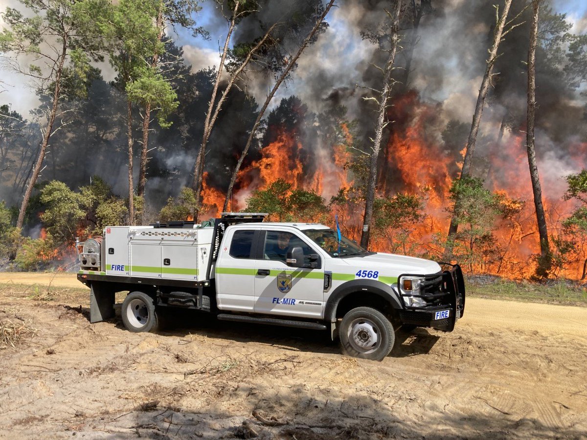 USFWSFire's tweet photo. The Major Fire, burning on Ocala National Forest in FL, is ~3,000 acres. Several @USFWSRefuges fire personnel & a fire engine from Merritt Island NWR are currently assigned to the incident to help with suppression efforts. Stay safe out there! #WeAreUSFWS #FireResources https://t.co/13eZcHV2dl
