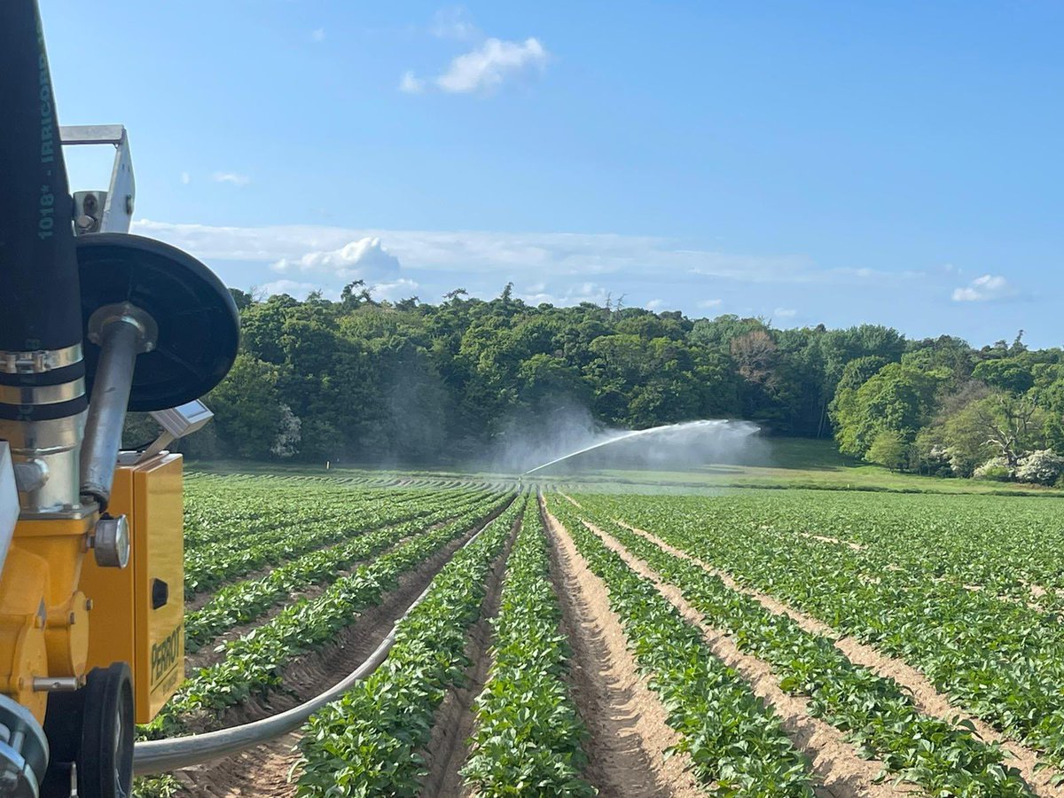 Frederick Hiam Ltd tweet media