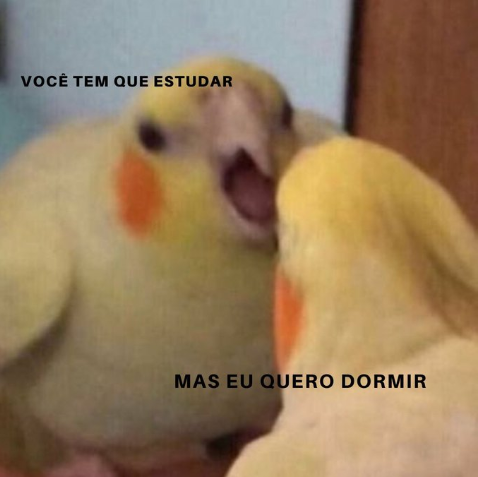 SouSESI's tweet photo. Eu sou Groot!

Traduzindo

Vai estudar! https://t.co/ygSOFAZbwx