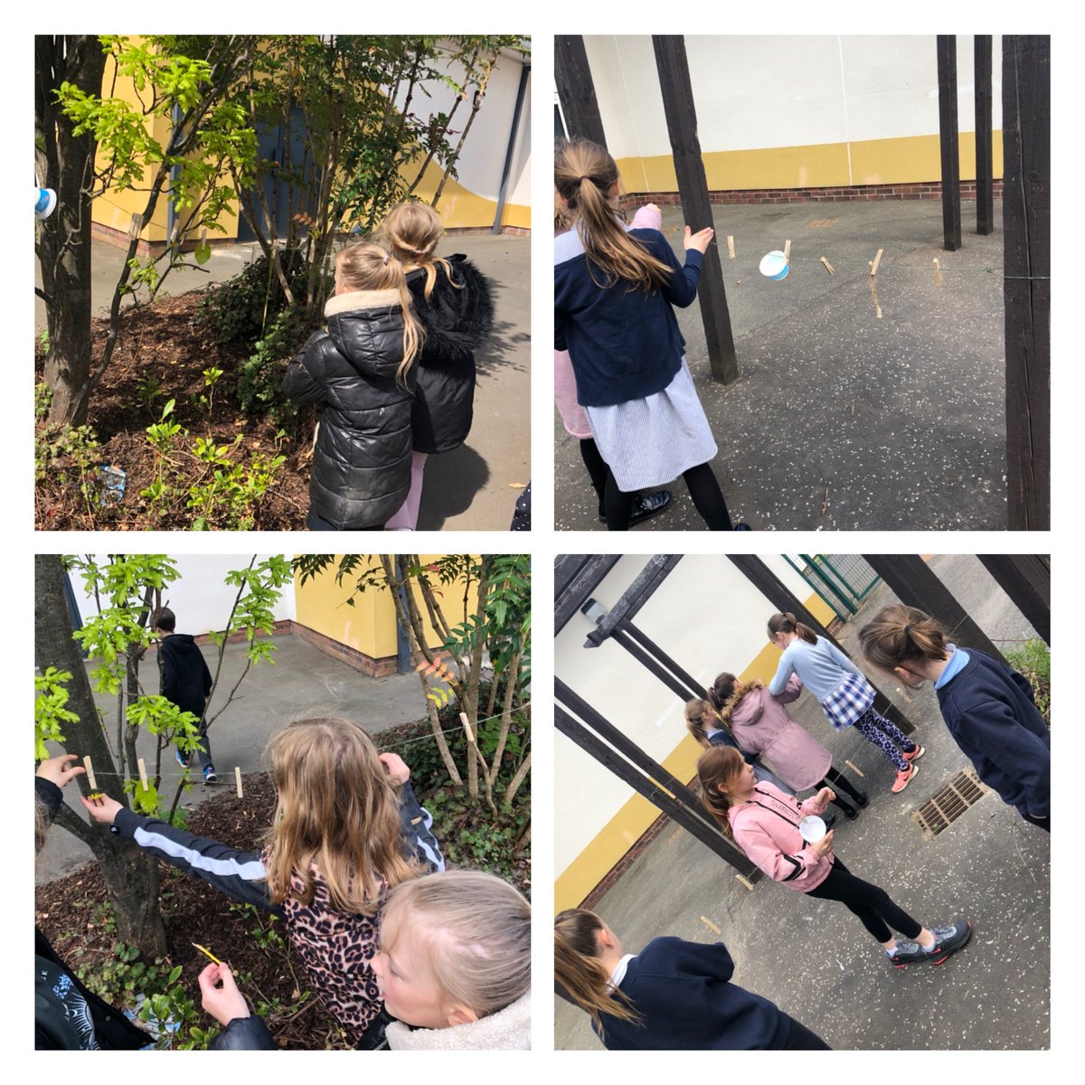 Gorebridge Primary tweet media