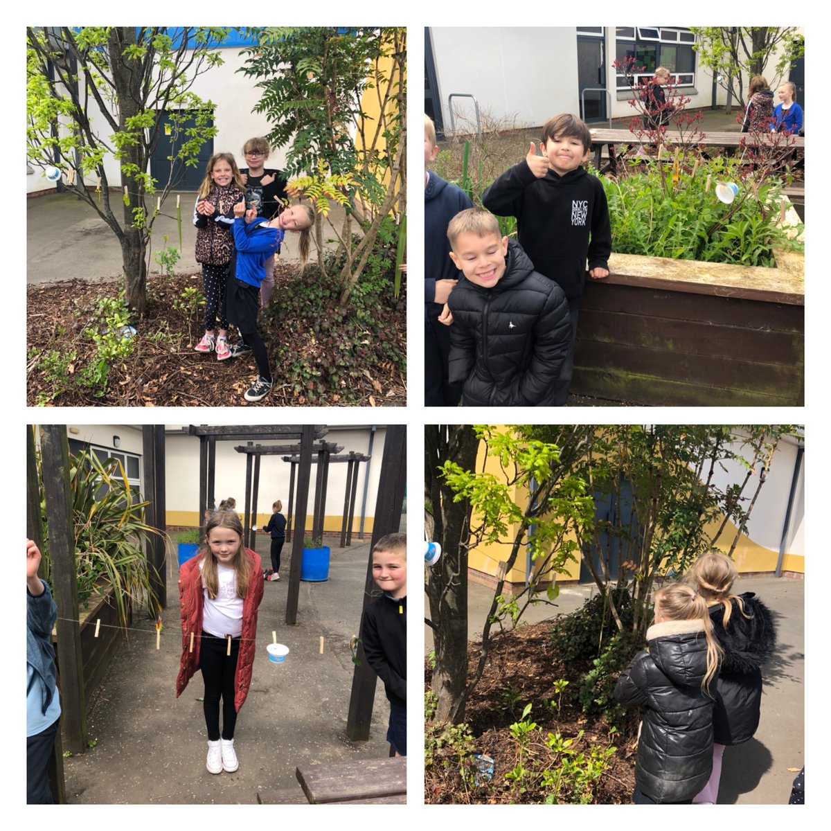 Gorebridge Primary tweet media