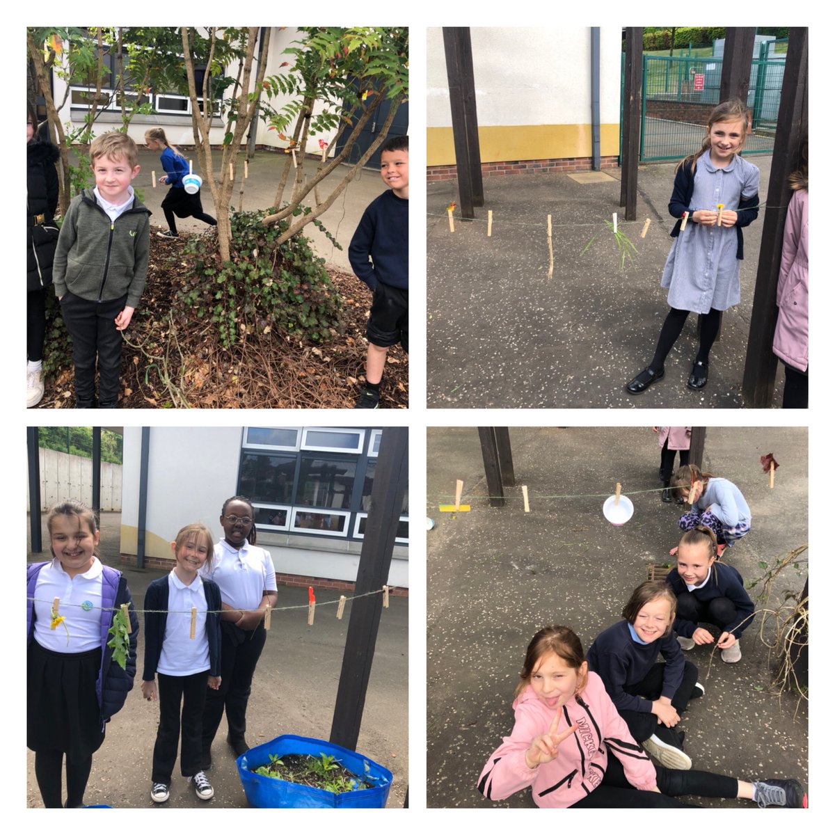 Gorebridge Primary tweet media