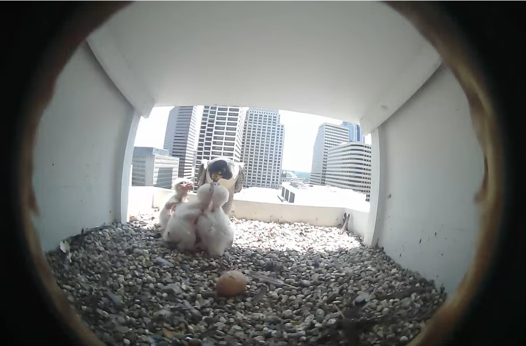 mealtimes are the best.