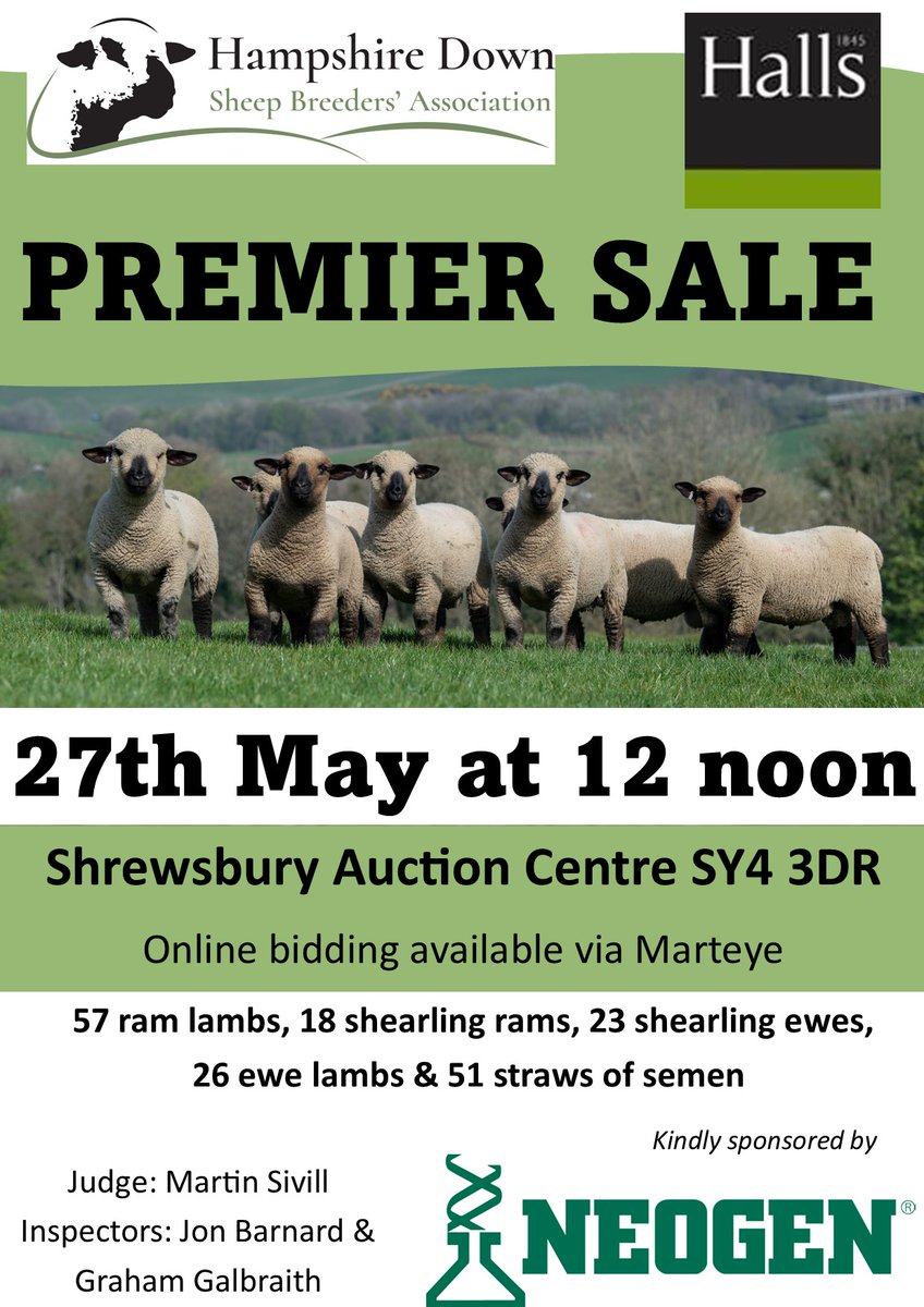 Hampshire Down Sheep (@hampssheep) on Twitter photo Plenty of choice at the Premier Sale at Shrewsbury - 27th May so come along and buy into this easy lambing, fast finishing breed :)  <a href="/marteye1/">MartEye</a>  hampshiredown.org.uk/the-premier-sa… Plenty of choice at the Premier Sale at Shrewsbury - 27th May so come along and buy into this easy lambing, fast finishing breed :)  <a href="/marteye1/">MartEye</a>  hampshiredown.org.uk/the-premier-sa…