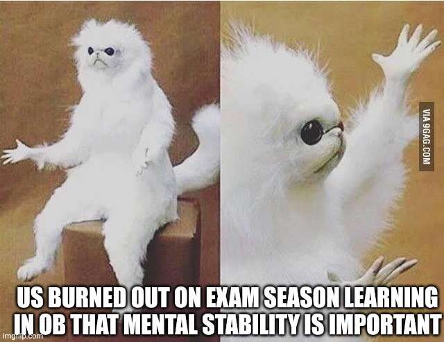 Good luck for exam season🫶