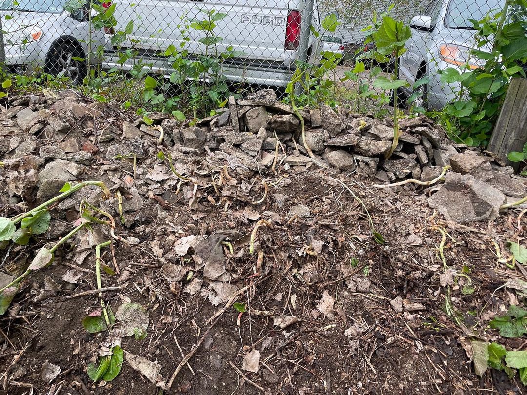 AlleghenyCW's tweet photo. Last week in Bloomfield our #DumpBusters worked with City Farms Outreach to remove 7,115 pounds of concrete from the Adopt-A-Lot Garden near Sunnyโs Tavern! https://t.co/i9hUyJ8CMJ