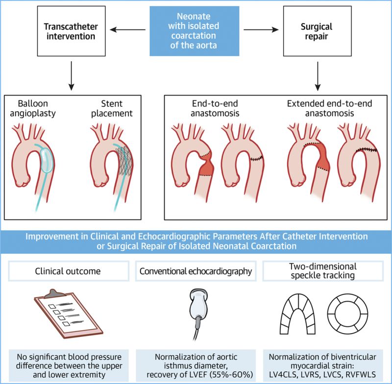 Georg Hansmann Lab (@hansmann_lab) on Twitter photo NEW PAPER published: Hysko K et al. JACC Advances (2023) - open access. Recovery of Biventricular Function After Catheter Intervention or Surgery for Neonatal Coarctation of the Aorta. jacc.org/doi/abs/10.101…
<a href="/3CPRCouncil/">3CPR Council</a>
<a href="/AEPCcongenital/">AEPC - Paediatric and Congenital Cardiology</a>
<a href="/StanfordCVI/">Stanford CVI</a>
<a href="/BostonChildrens/">Boston Children's</a> NEW PAPER published: Hysko K et al. JACC Advances (2023) - open access. Recovery of Biventricular Function After Catheter Intervention or Surgery for Neonatal Coarctation of the Aorta. jacc.org/doi/abs/10.101…
<a href="/3CPRCouncil/">3CPR Council</a>
<a href="/AEPCcongenital/">AEPC - Paediatric and Congenital Cardiology</a>
<a href="/StanfordCVI/">Stanford CVI</a>
<a href="/BostonChildrens/">Boston Children's</a>