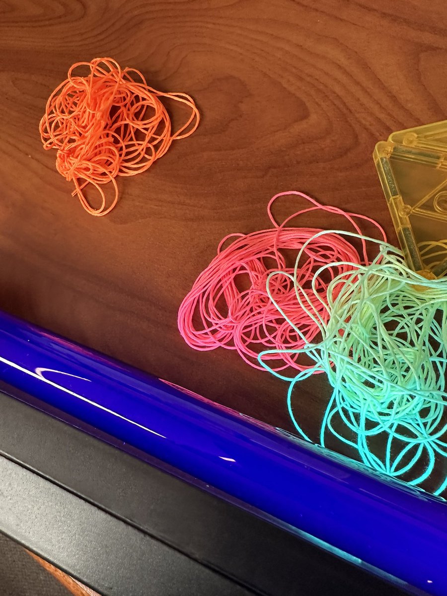 WLMSmedia's tweet photo. Neon  Day! https://t.co/isEm8MzIOk
