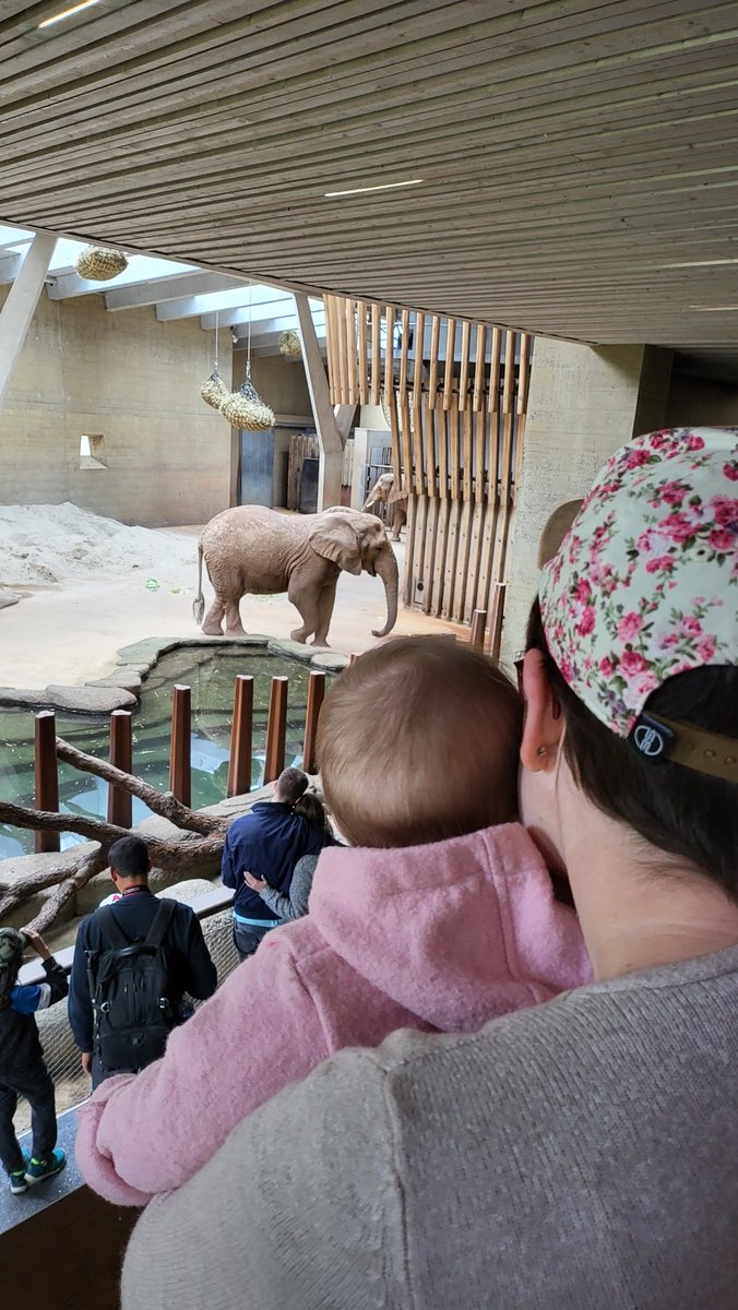 Biertank (@biertank_ch) on Twitter photo 