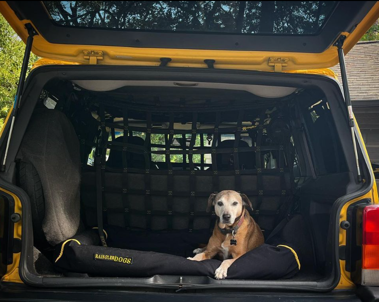 RainglerNets's tweet photo. Not only are Raingler Nets built tough, but they can also be built CUSTOM! Match your material color &amp; stitching to your ride's interior, choose different material types, add on extra straps &amp; more! You can also customize all of our dog products. 
#barriernets #customnets https://t.co/NwslYOwb8Q