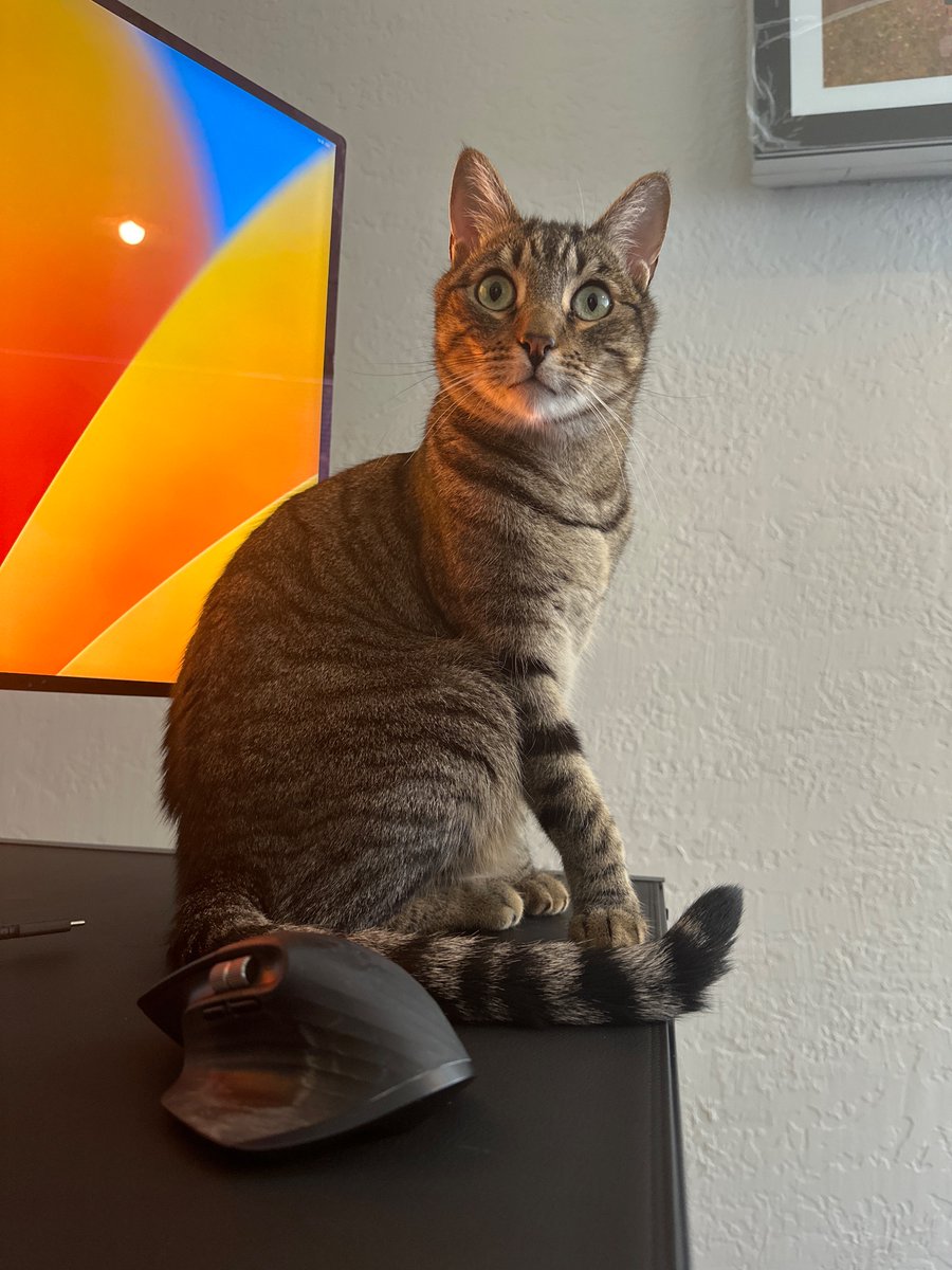 Bryan Veloso tweet media