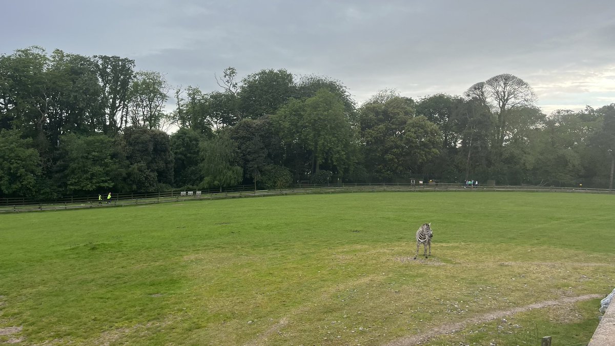 Haganator's tweet photo. Amount of times I’ve used the hilarious “my hair will be ruined” line since arriving at a slightly rainy @fotawildlife for the @EagleAC_1982 Cheetah Run - 423. And there’s still an hour to go to the race. #TopBantz https://t.co/5Ya4uSTt5c
