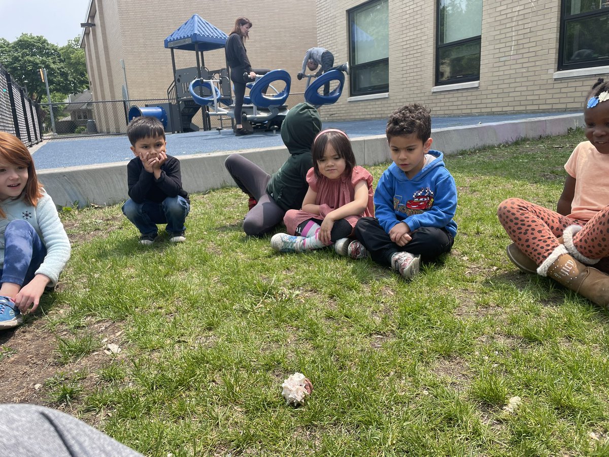 JillPTEACHER's tweet photo. Perfectly sunny day to take the pets out in the grass #jimothythehermitcrab #tucktheturtle #pkp #myd97 #longfellowbears https://t.co/w1NUhAAelZ