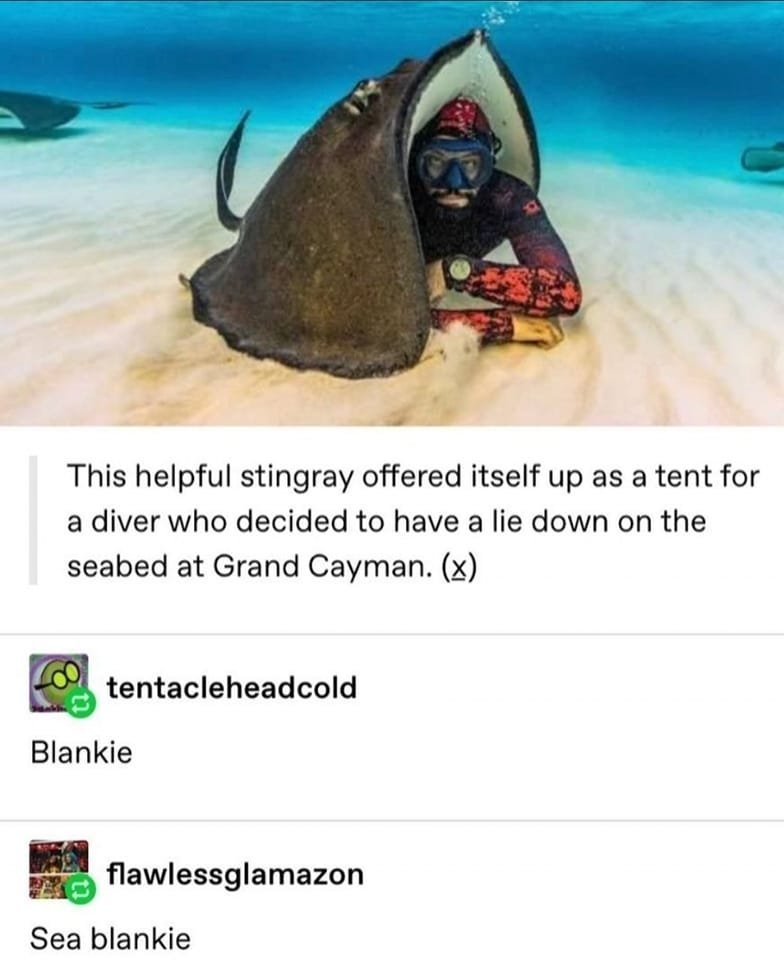 WholesomeMeme's tweet photo. https://t.co/x9vZ4YDHHO