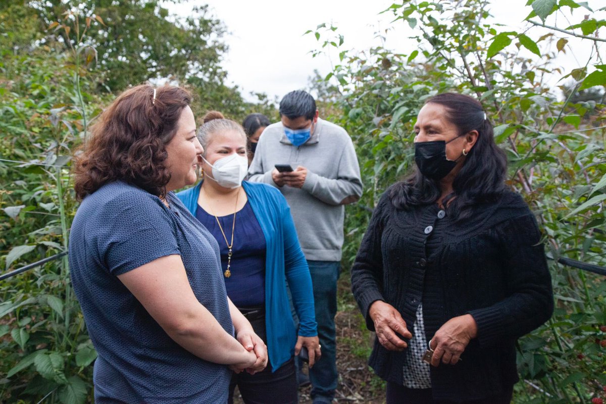 #ComunicaciónUTE | Continuamos presentando a nuestros #Decanos y #Decanas de las facultades UTE 💚💙

María Belén Jácome, lidera la <a href="/FciiUte/">UTE - Facultad de Ingeniería e Industrias</a> , es #AlumniUTE y la primera mujer en ocupar este cargo en 52 años 💪👏

Conoce su vida 👷‍♀️ aquí ➡️bit.ly/433HIm1

#UTE #Decana