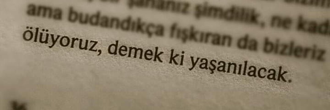 "...ama budandıkça fışkıran da bizleriz
Ölüyoruz, demek ki yaşanılacak."

İsmet Özel