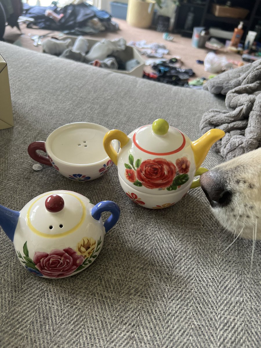 katlin_cap's tweet photo. Hot girls collect salt and pepper shakers…I don’t make the rules https://t.co/ZvzWZuD3qK