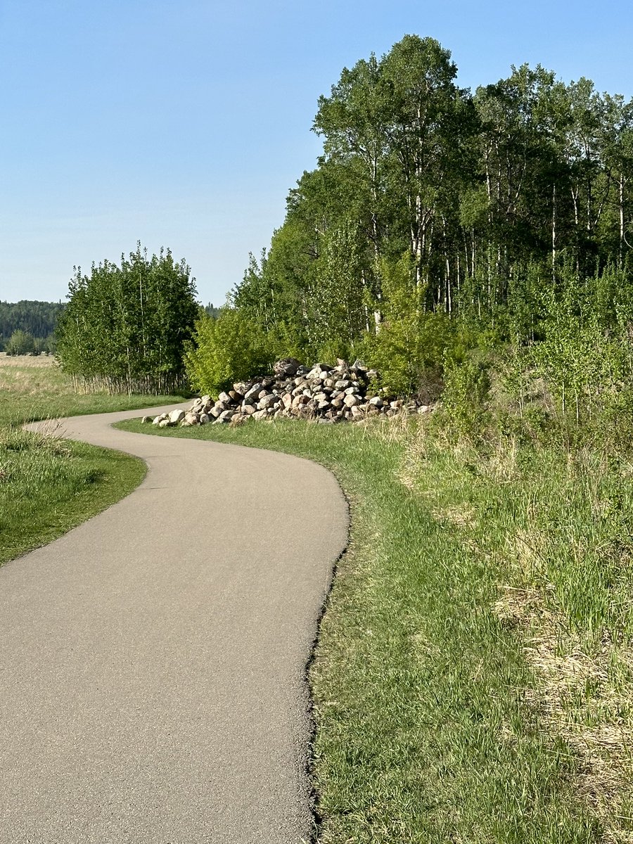 Morning long run before leaving for Banff for the “Thinking with Lauren Berlant” workshop that I am co-organizing